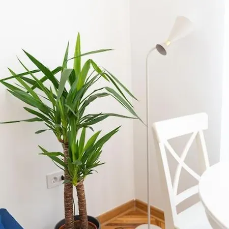 Completely New, Bonbona Lägenhet